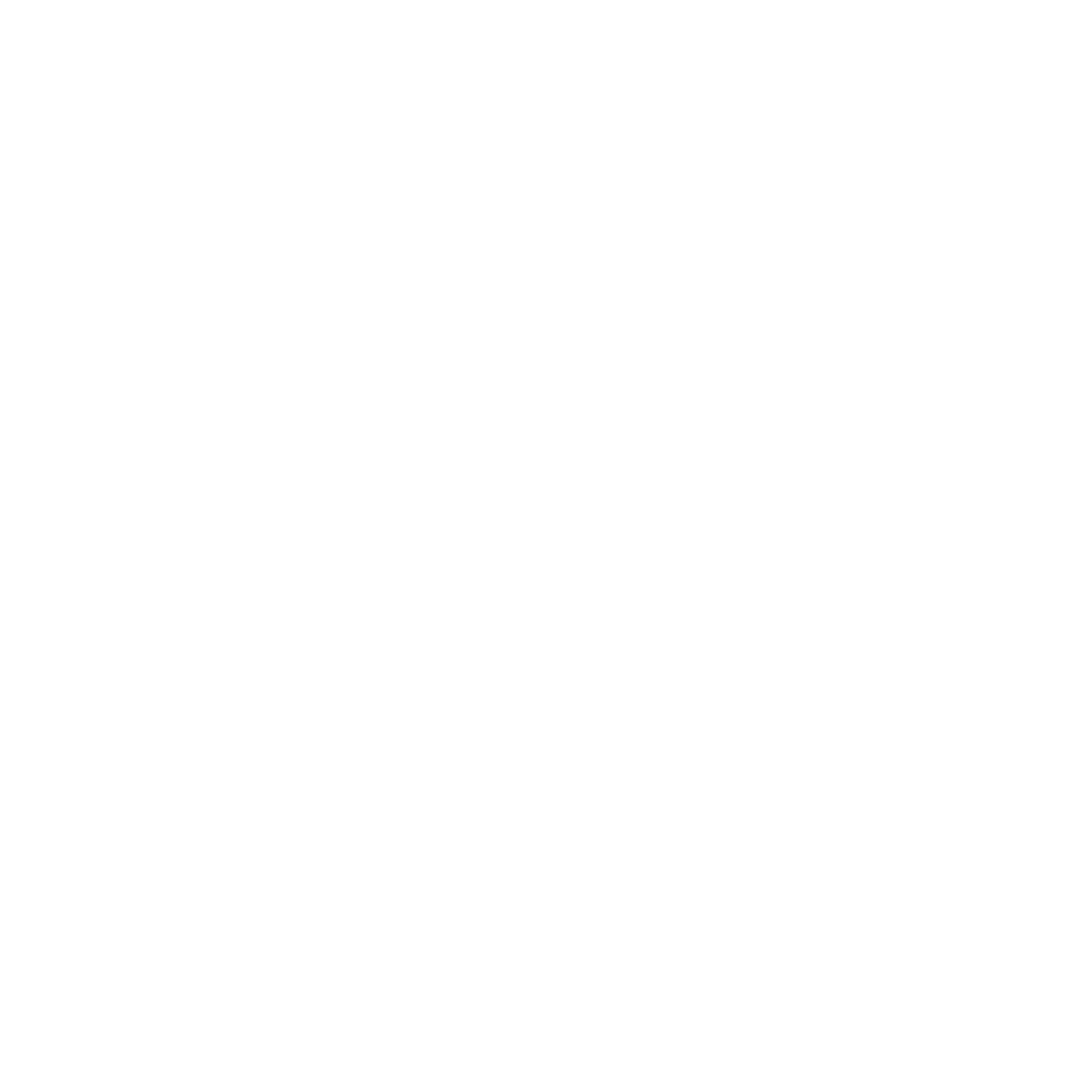 Withe Color Logo